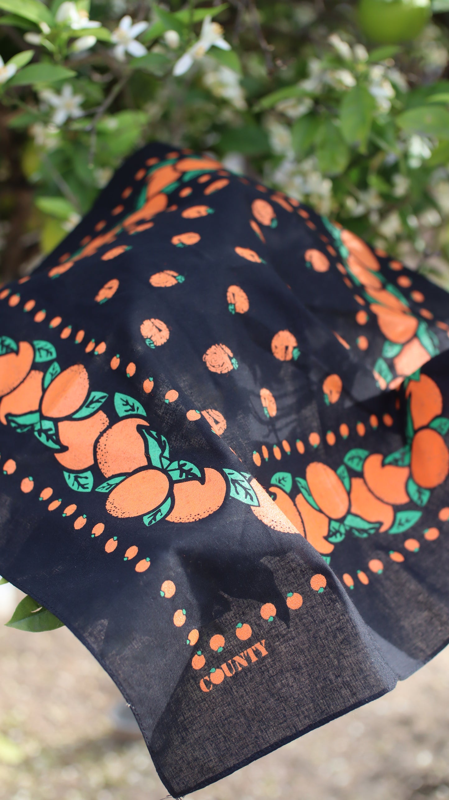 Orange Grove Bandana: BLACK