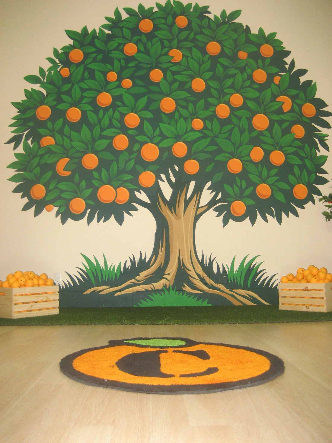 Flaship Studio - 7/6/24